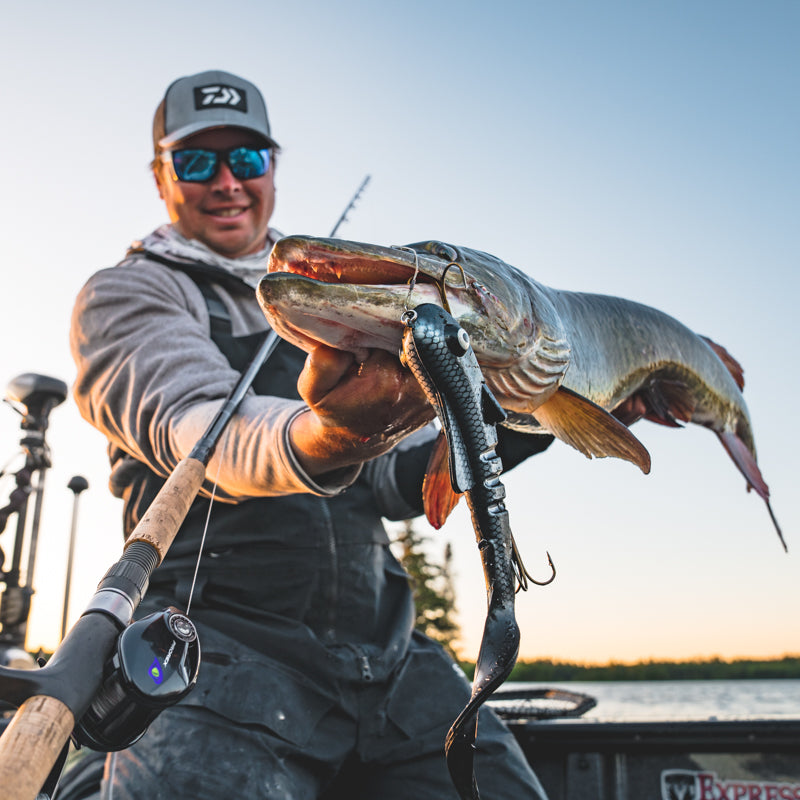 Daiwa Prorex TW Casting Reel