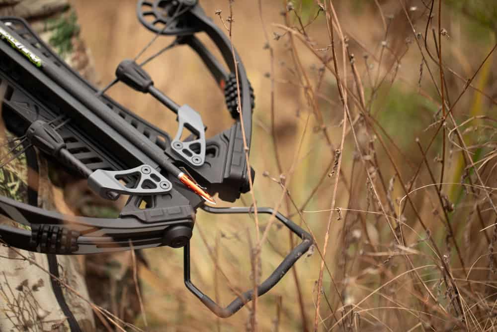 Rage 2 Blade Rage Crossbow X NC - 125 Grain