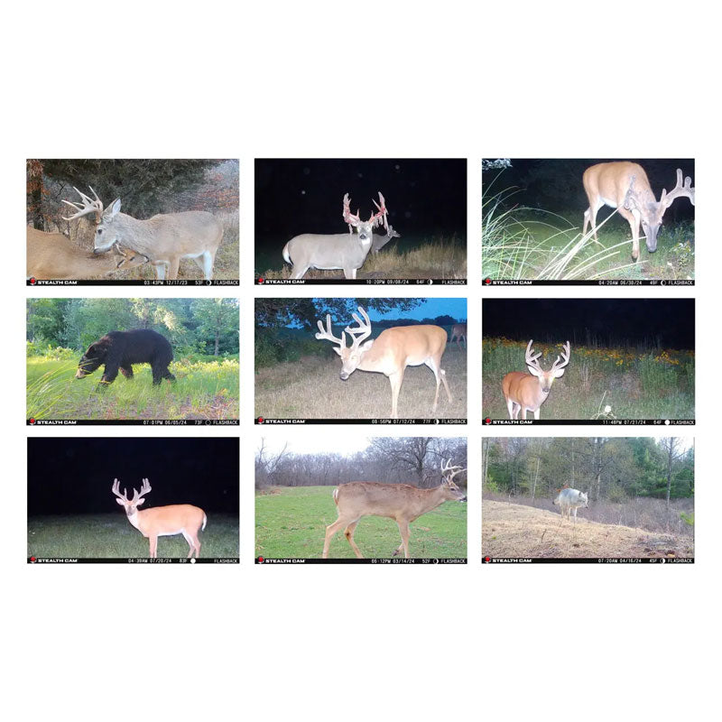 Stealth Cam Flashback White Flash Cellular Trail Camera