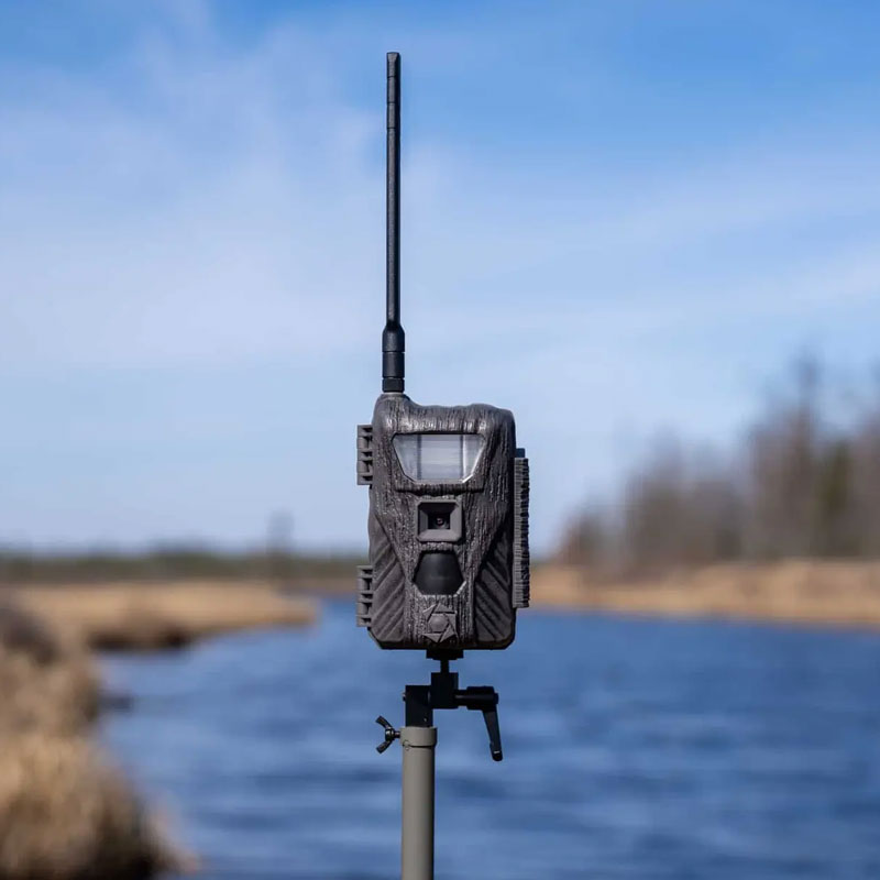 Stealth Cam Flashback White Flash Cellular Trail Camera