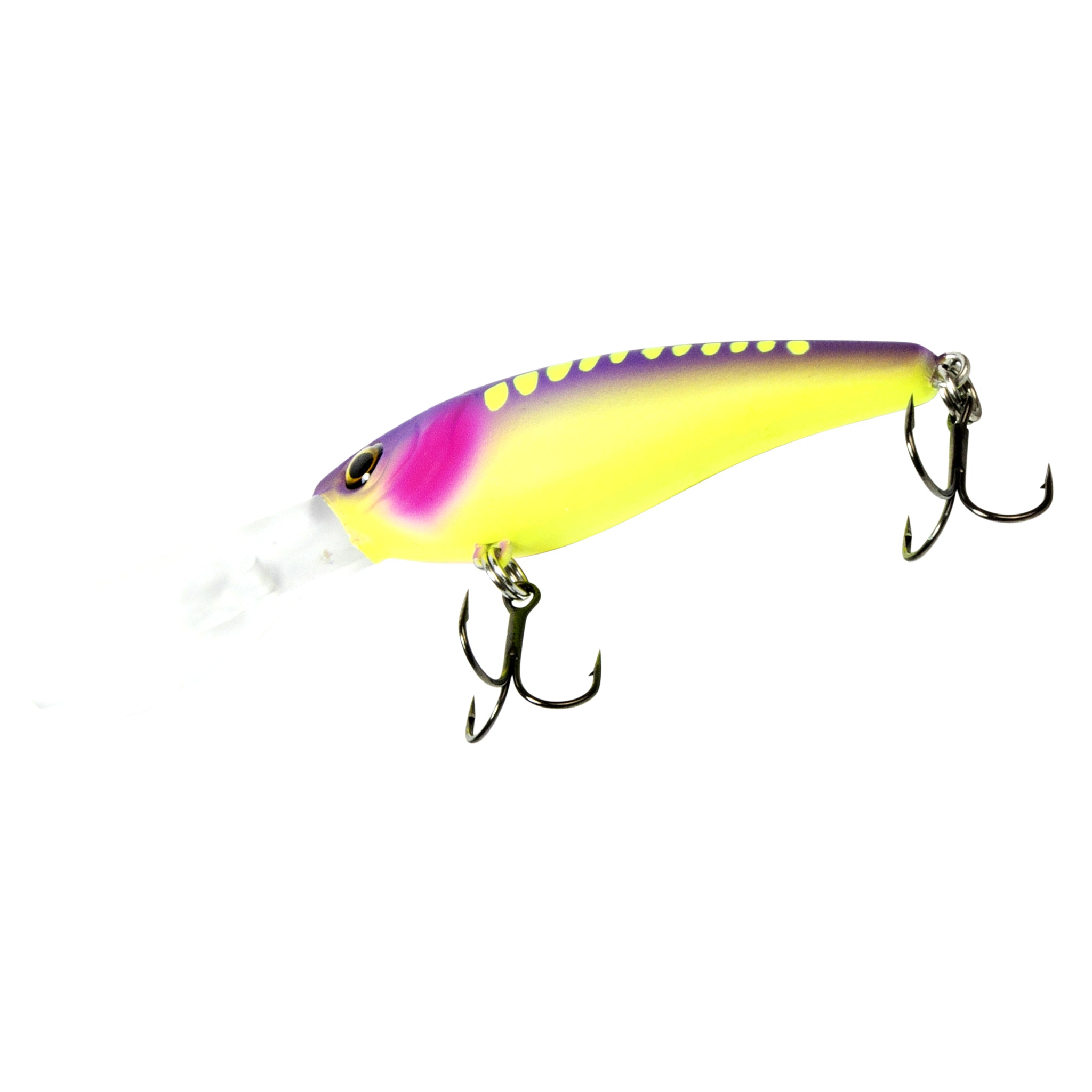 Walleye County Crankcase