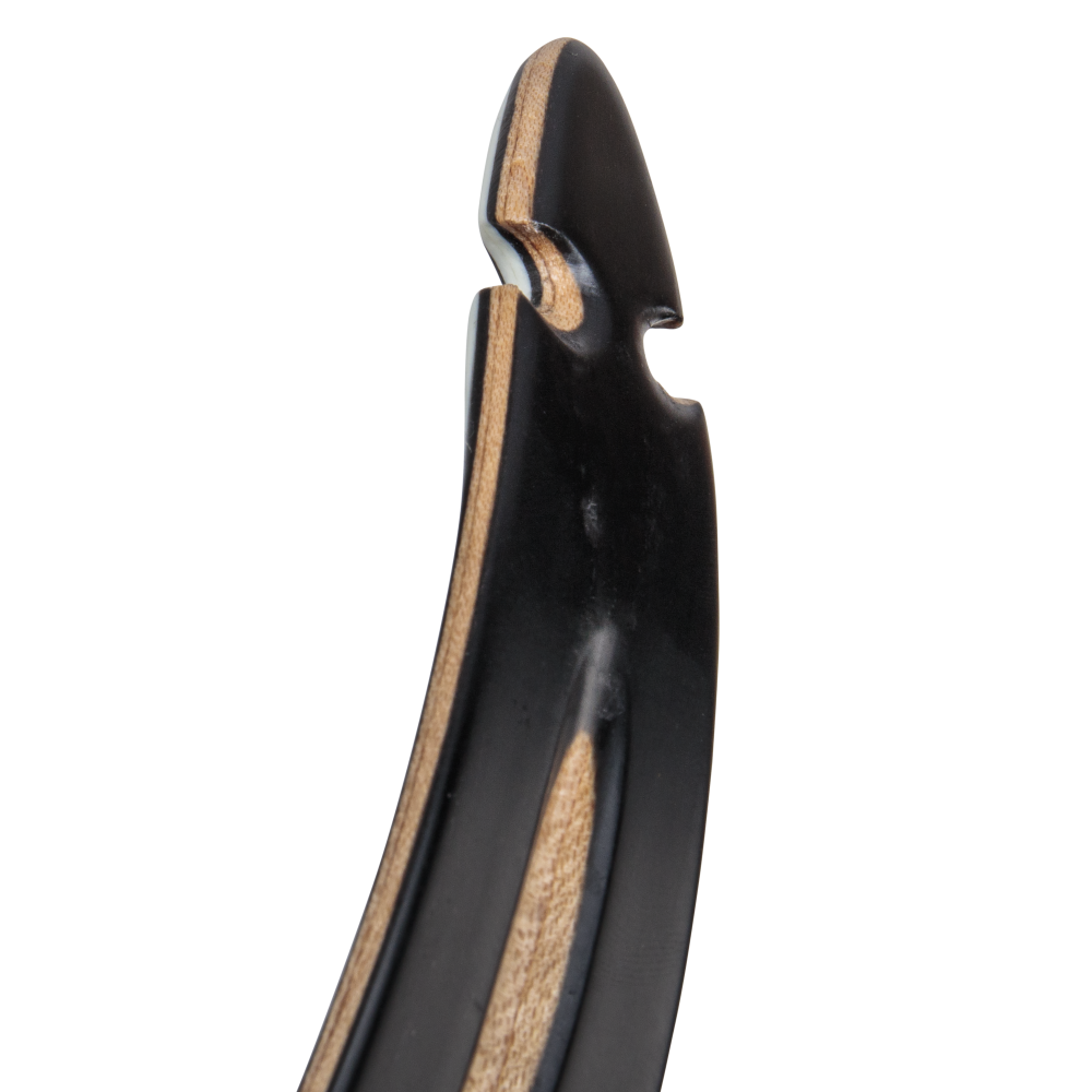 Bear Archery Take Down Limbs - Black Gloss / 55 / #1