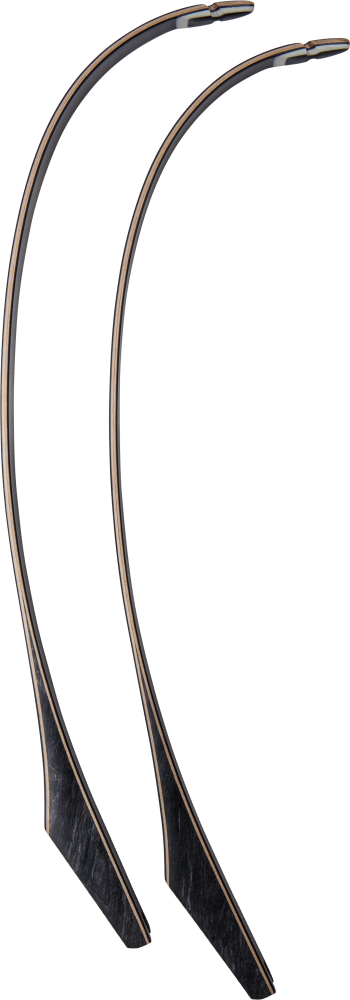 Bear Archery Take Down Limbs - Black Gloss / 35 / #3
