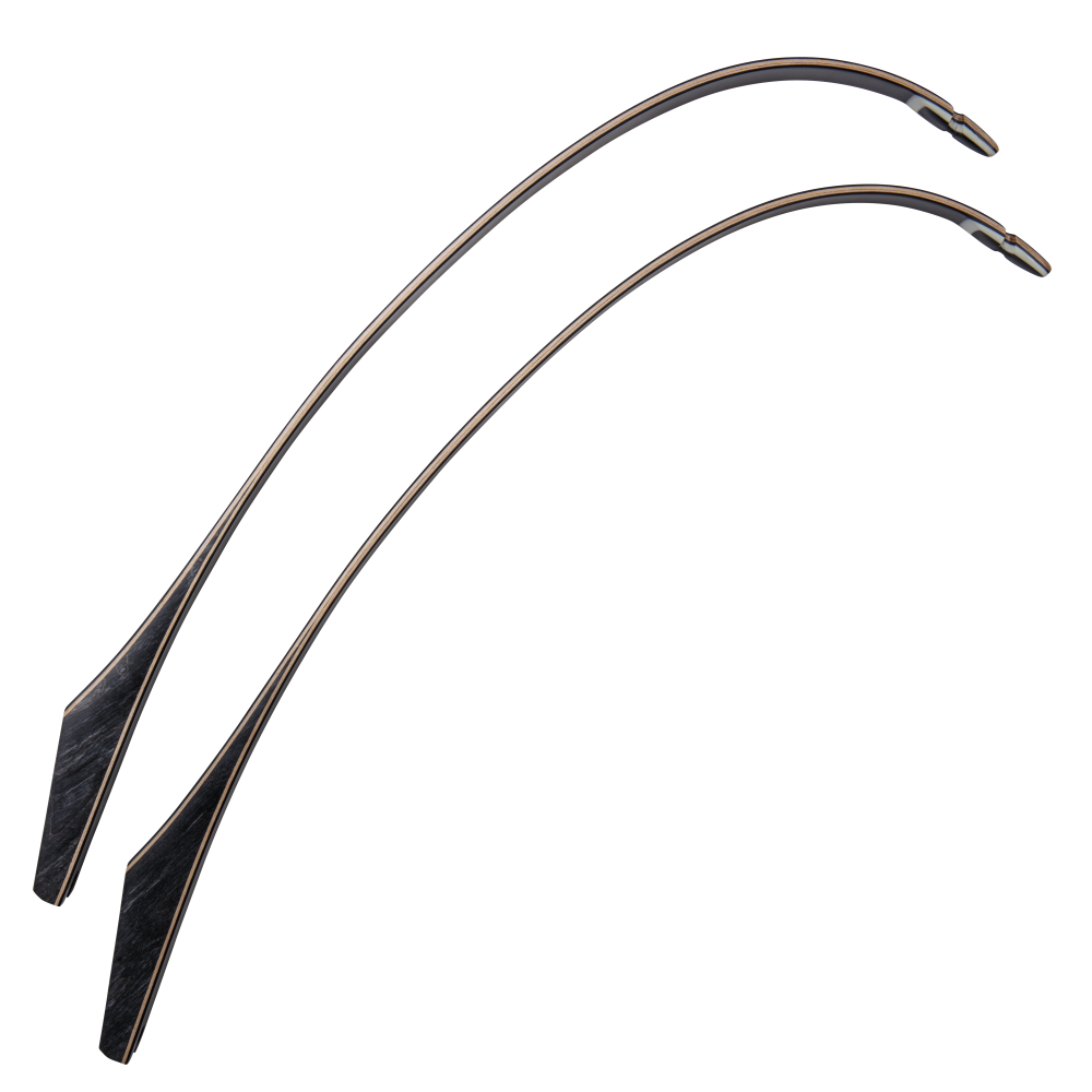 Bear Archery Take Down Limbs - Black Gloss / 55 / #1