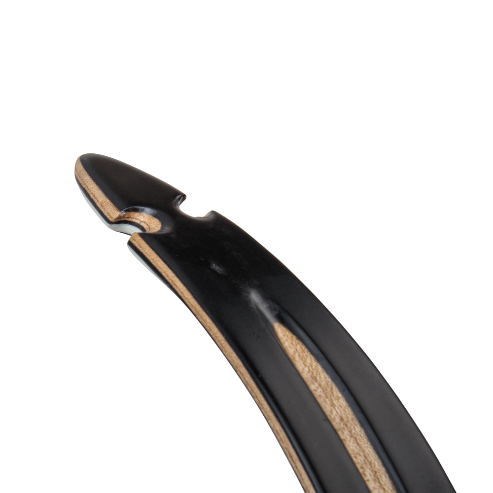 Bear Archery Take Down Limbs - Black Gloss / 60 / #3
