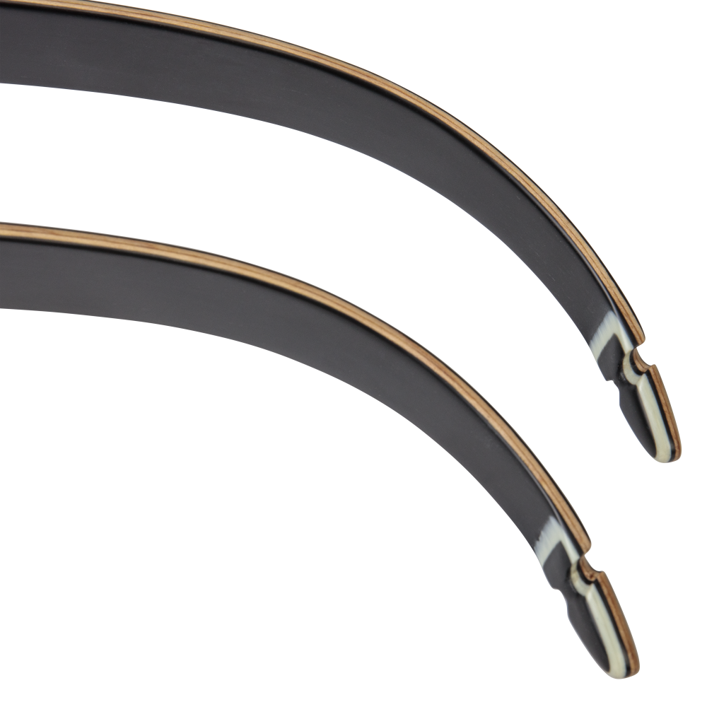 Bear Archery Take Down Limbs - Black Gloss / 55 / #2