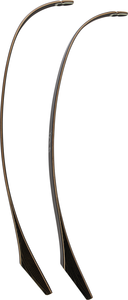 Bear Archery Take Down Limbs - Black Gloss / 25 / #1