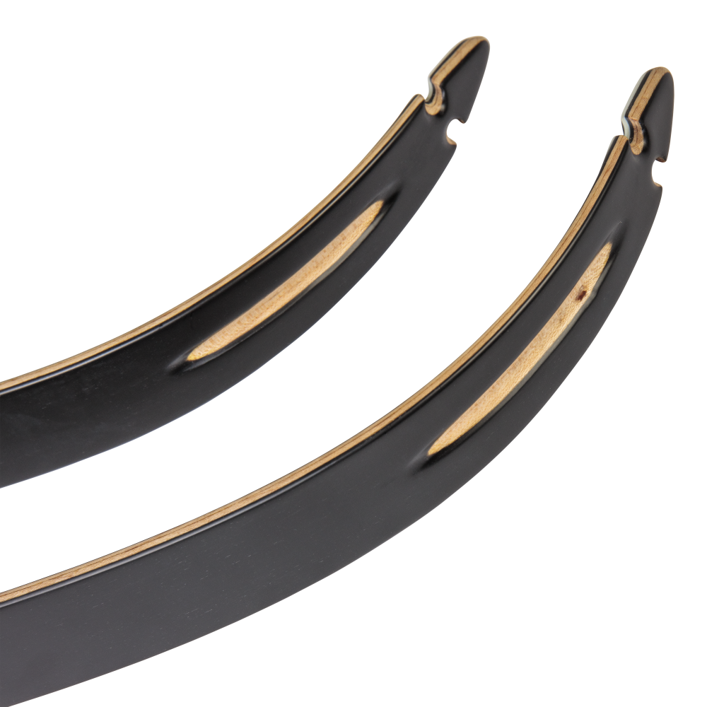 Bear Archery Take Down Limbs - Black Gloss / 55 / #2