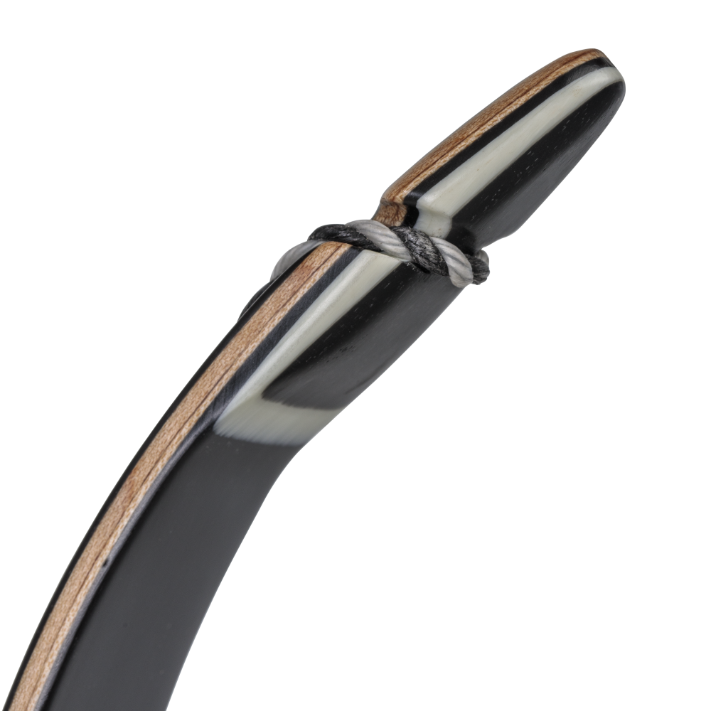 Bear Archery Take Down Limbs - Black Gloss / 55 / #1