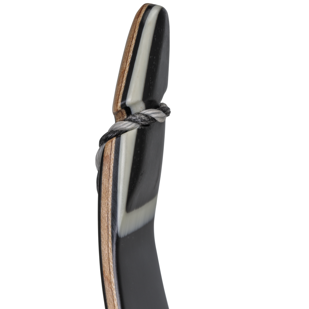 Bear Archery Take Down Limbs - Black Gloss / 25 / #2