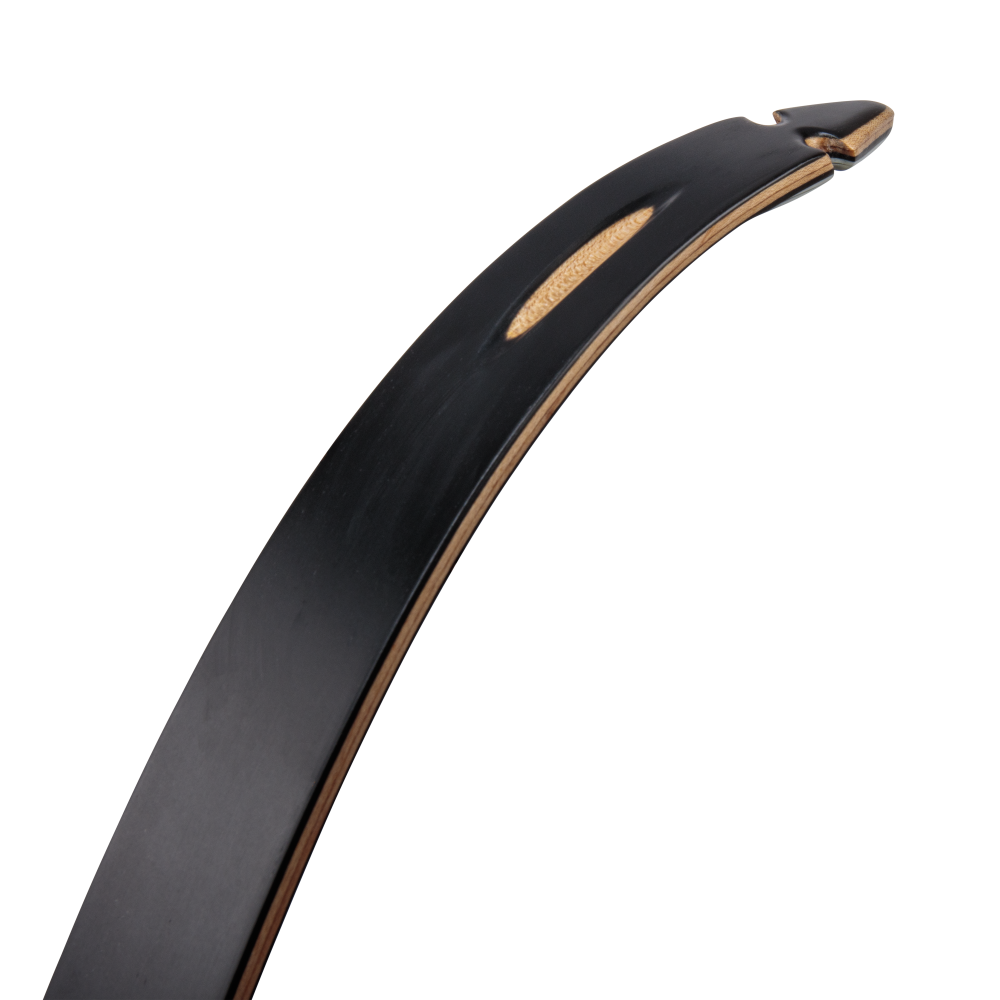 Bear Archery Take Down Limbs - Black Gloss / 40 / #2