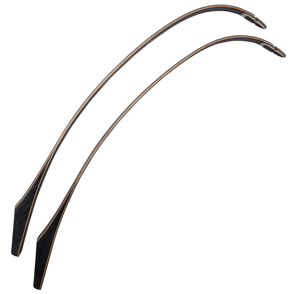Bear Archery Take Down Limbs - Black Gloss / 65 / #2