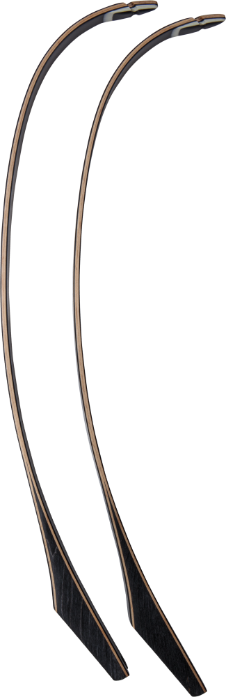 Bear Archery Take Down Limbs - Black Gloss / 45 / #3