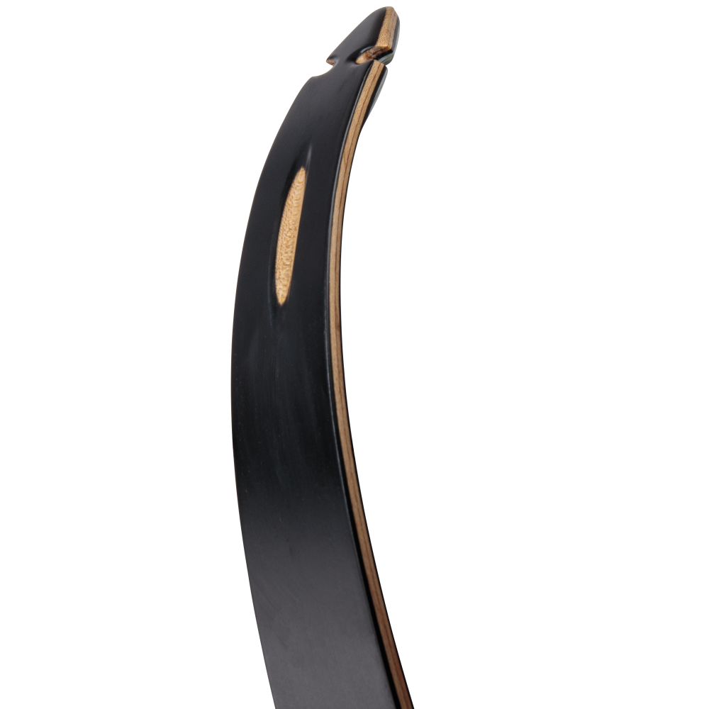 Bear Archery Take Down Limbs - Black Gloss / 45 / #3