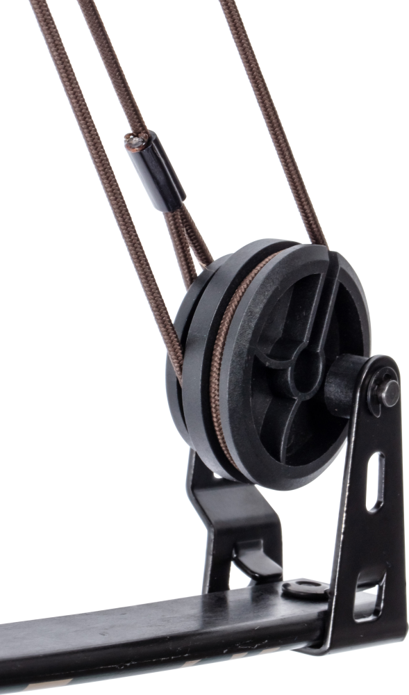 Bear Archery Apprentice Youth Bow - Tan / Right Hand / Continuous up to 13.5