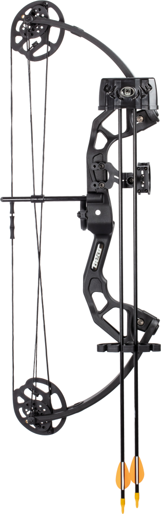 Bear Archery Raider Youth Bow