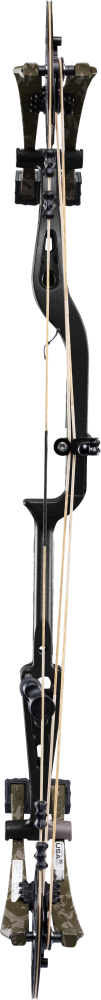 Bear Archery Whitetail INT Compound Bow - Mossy Oak Bottomland / Right Hand / 55-70
