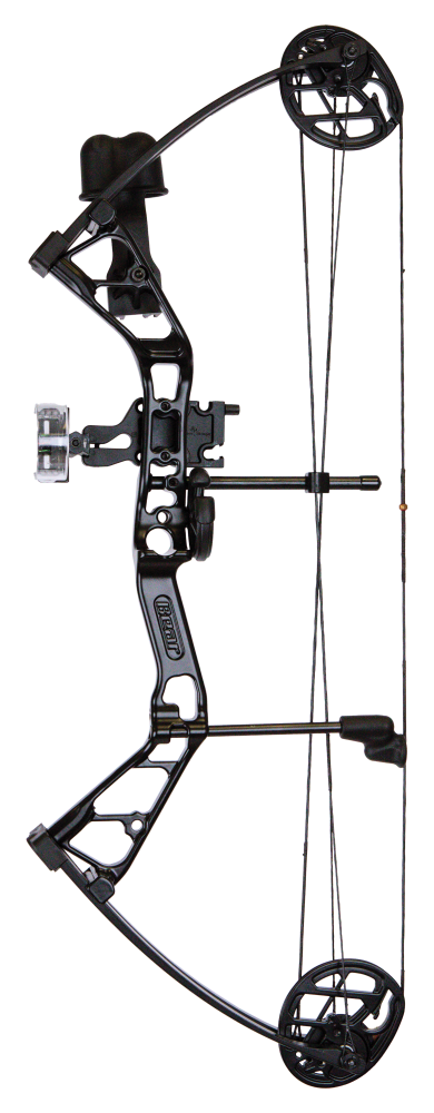 Frontier RTS