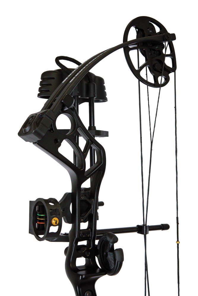 Bear Archery Shootout RTH