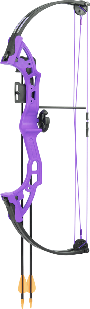 Bear Archery Brave Youth Bow - Purple / Right Hand / Continuous up to 25