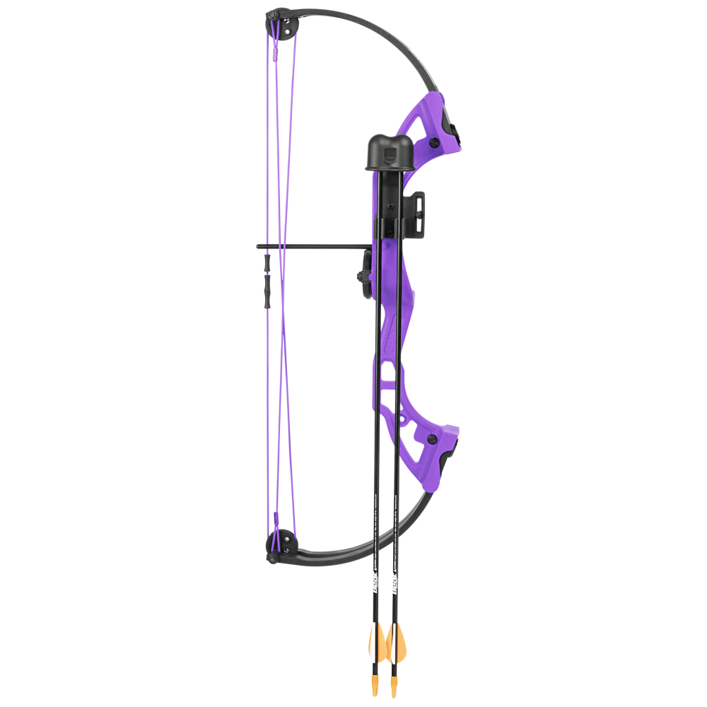 Bear Archery Brave Youth Bow - Purple / Right Hand / Continuous up to 25