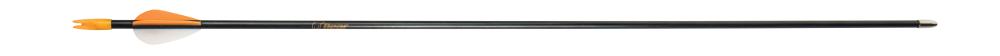 Bear Archery Youth Safetyglass 28" Arrows
