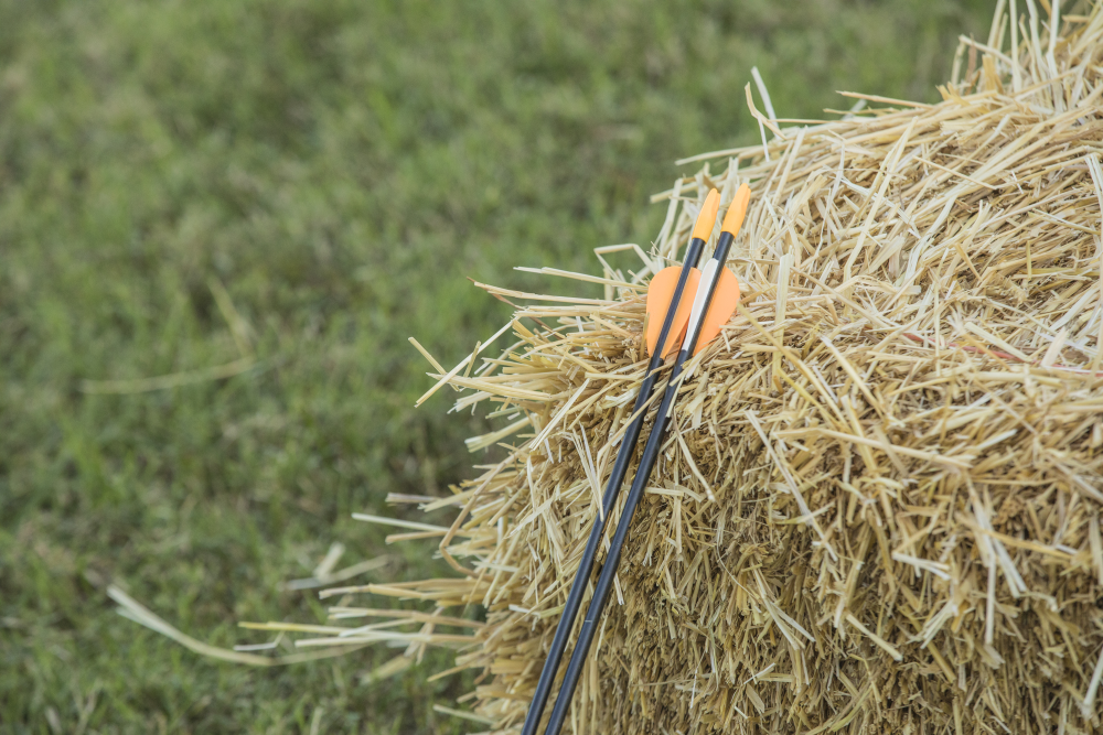 Bear Archery Youth Safetyglass 28" Arrows