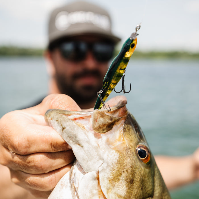 Great Lakes Finesse Spy Bait Replacement Hooks 6pk