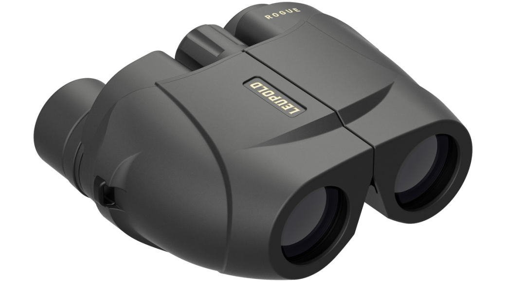 Leupold BX-1 Rogue 8x25mm Compact