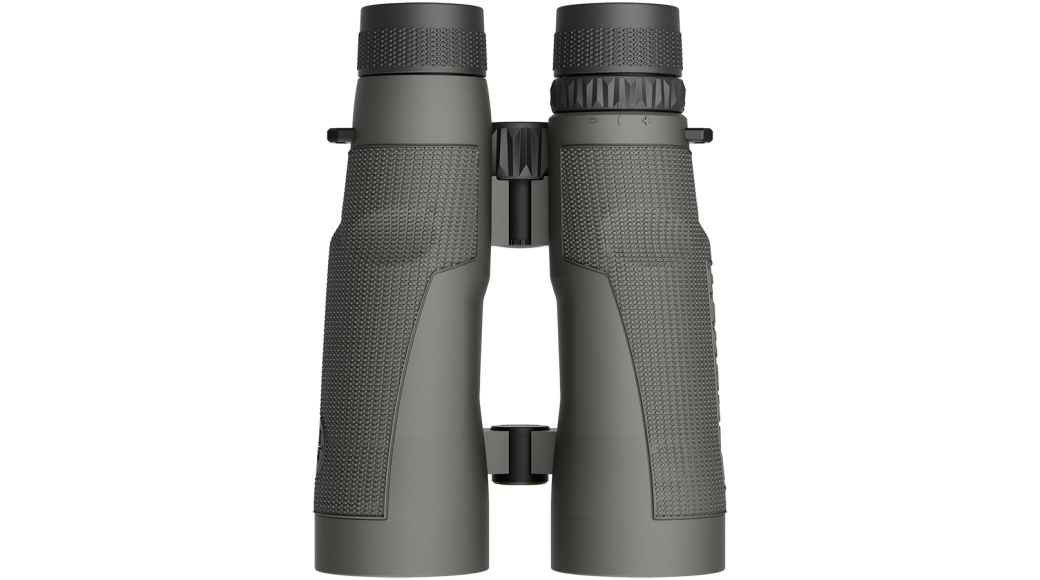 Leupold BX-5 Santiam HD 15x56mm