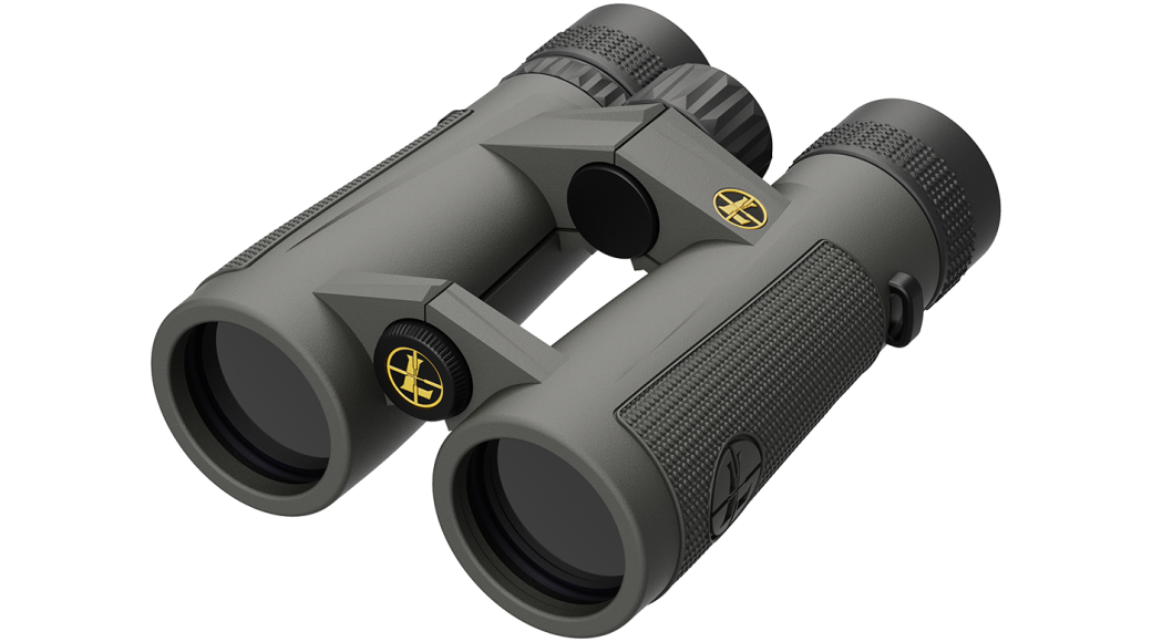 Leupold BX-5 Santiam HD 8x42mm