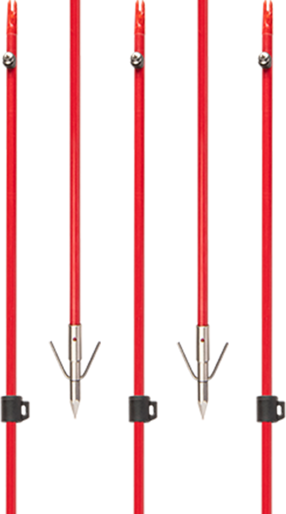 Cajun Bowfishing Fiberglass Arrow W/ Piranha Long Barb XT