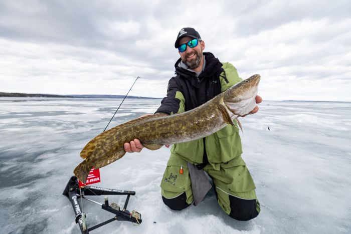 Clam Predator Tip Up