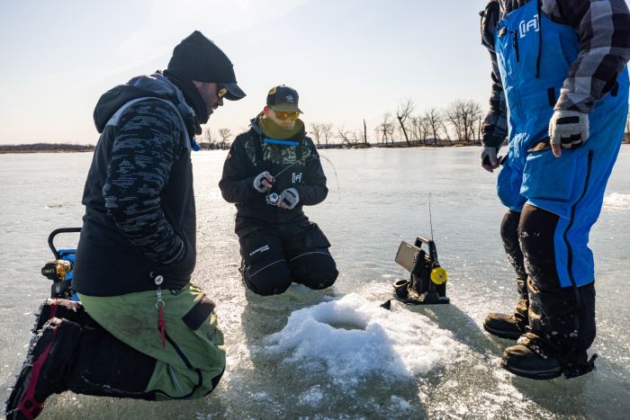 Clam Wooly Fingerless Gloves