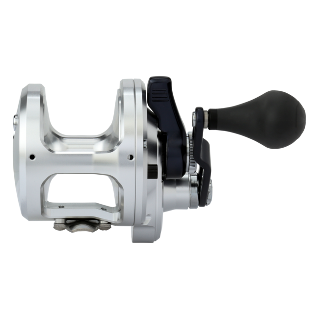 Shimano Talica BFC Conventional Reel