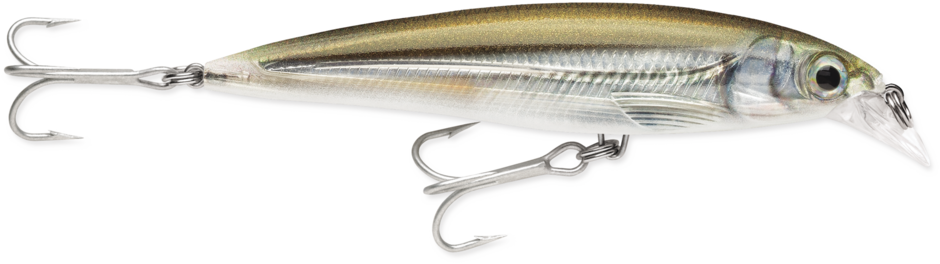 Rapala X-Rap Saltwater