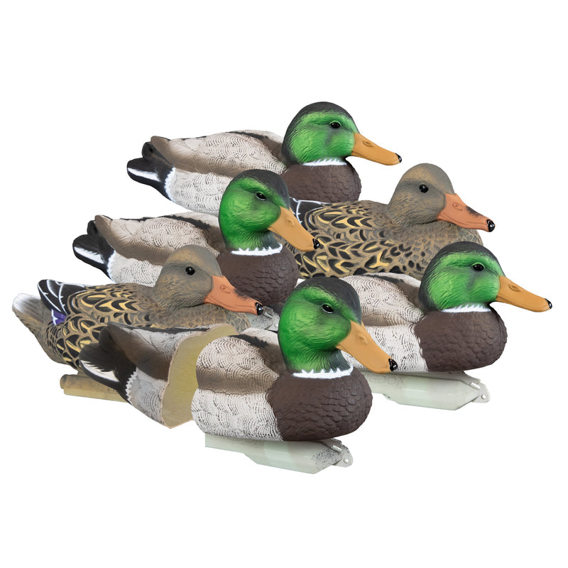 Higdon Outdoors Standard Mallard 19023 foam-filled decoys six pack, isolated original product photo on 800 × 800 white background
