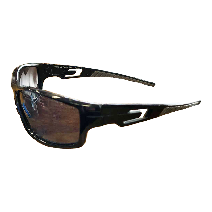 iSKI POLARIZED SUNGLASSES - CECIL PL