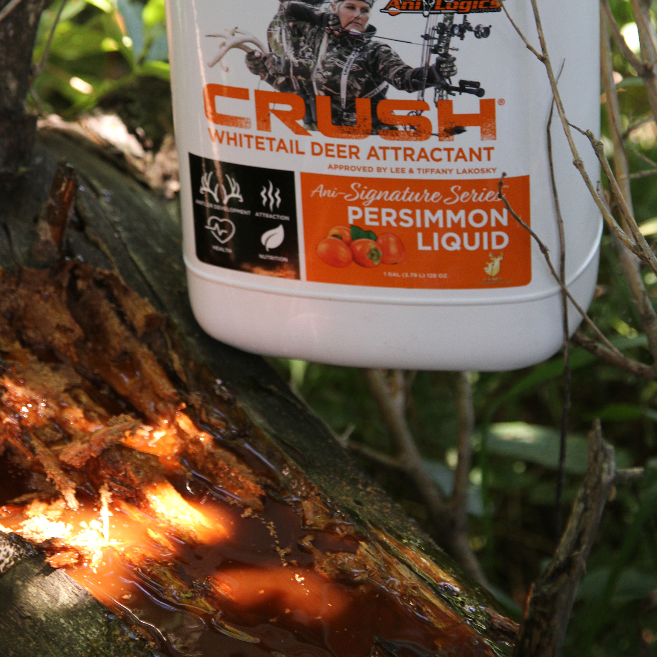 Ani Logics Crush Persimmon Liquid