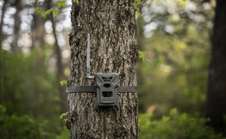 Spypoint FlexM Cellular Trail Camera