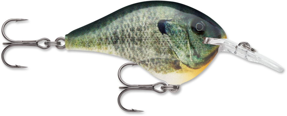 Rapala Dives-To Series 2" (DT04)