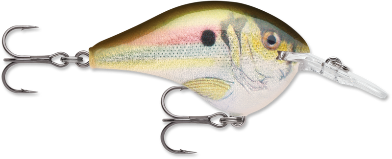 Rapala Dives-To Series 2" (DT08)