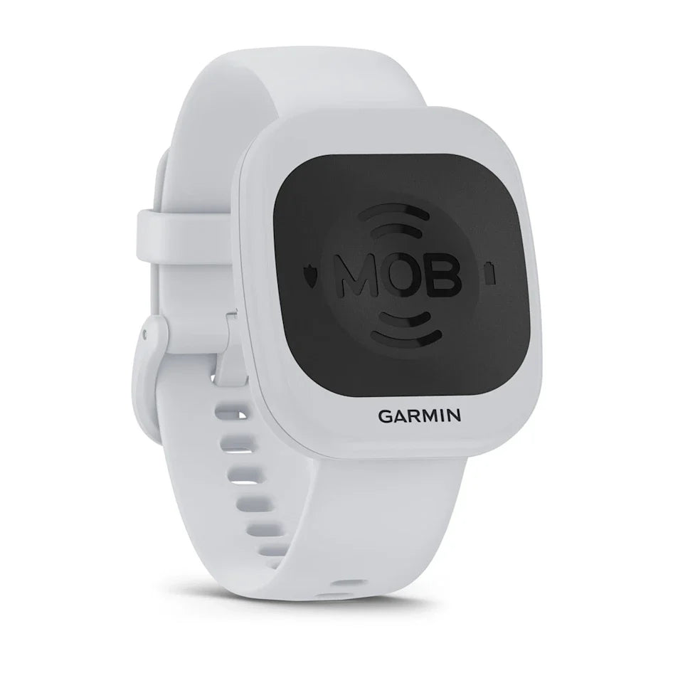 Garmin OnBoard System