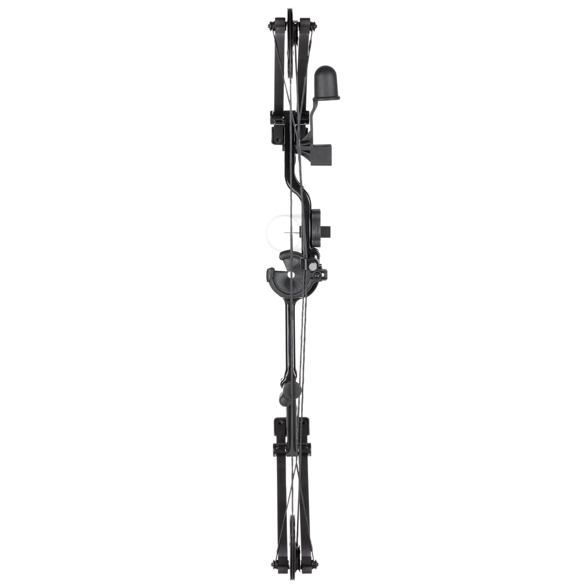 Bear Archer Pathfinder Youth Bow Set