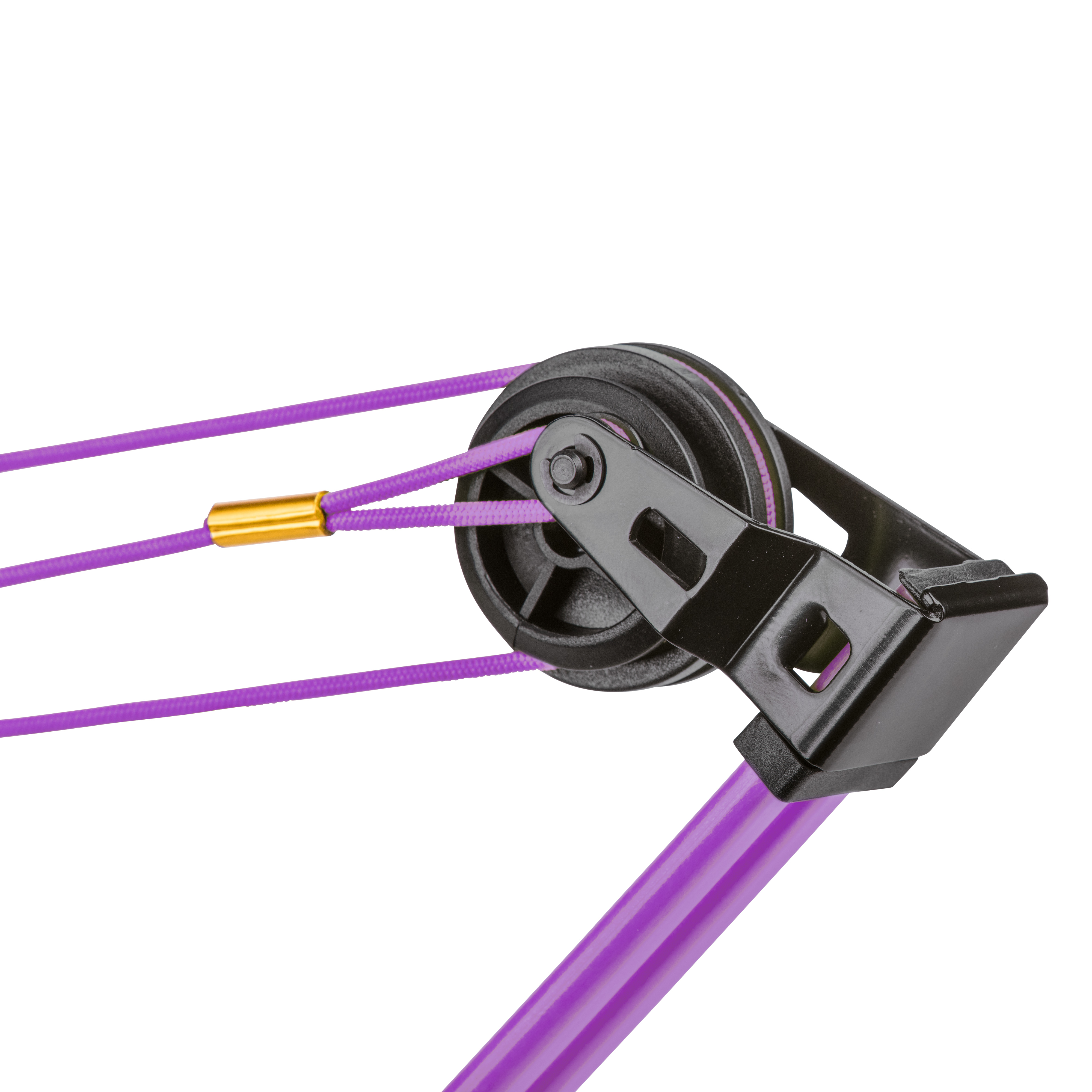 Bear Archery Spark Youth Bow - Flo Purple / Both / Continuous up to 10 lbs.