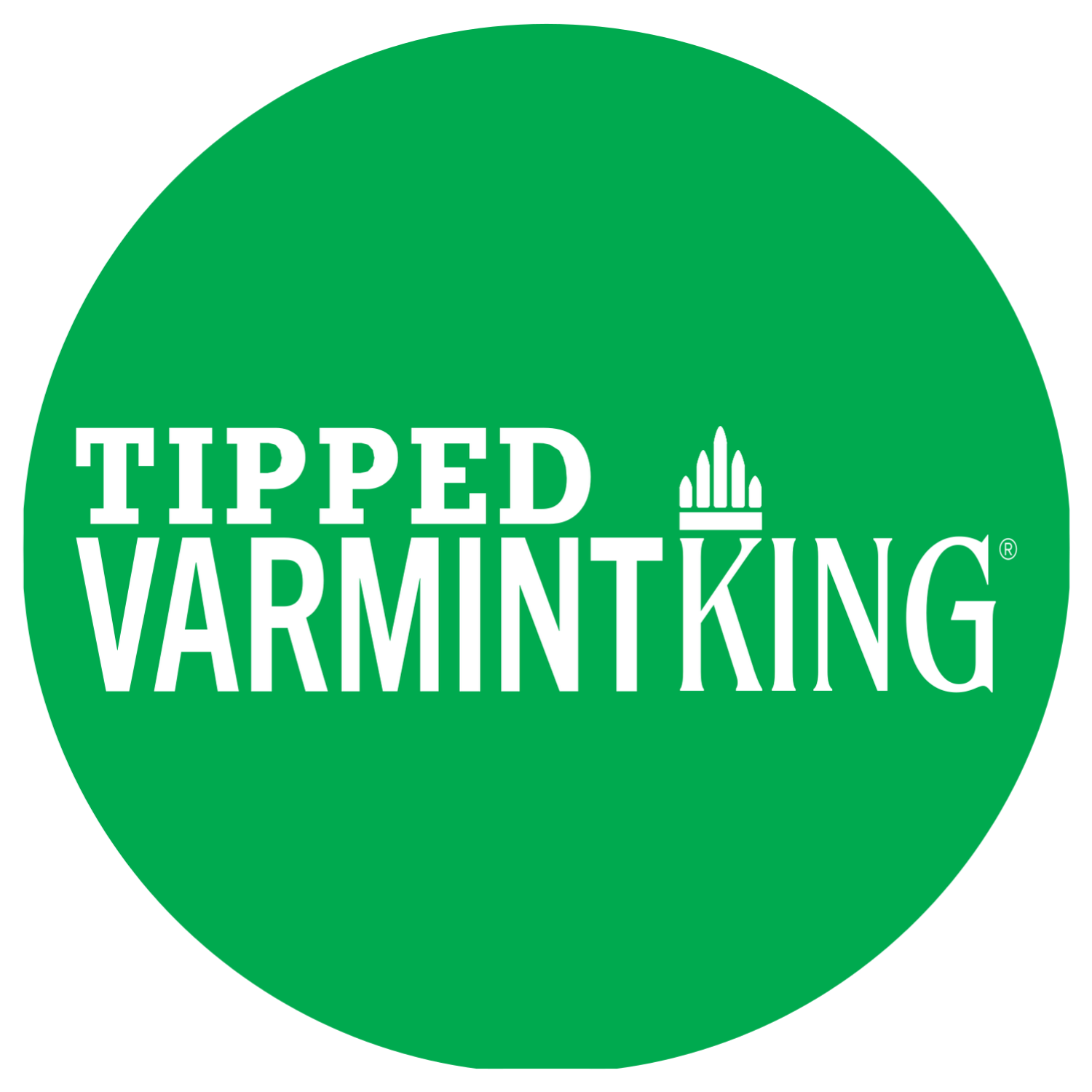 Sierra Tipped VarmintKing .22 Cal 50gr Bullets - 500 Count