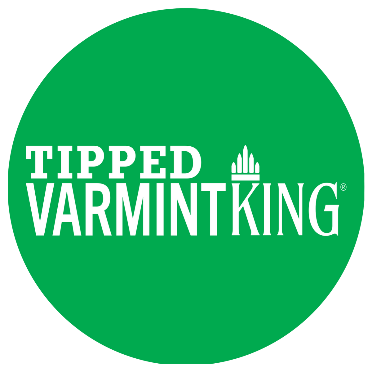 Sierra Tipped VarmintKing 6mm 55gr Bullets - 500 Count
