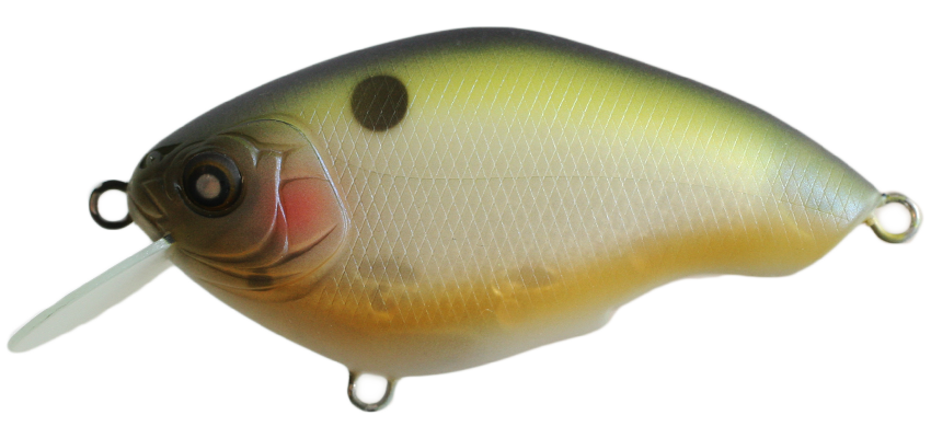 NISHINE - CHIPPAWA ROUND BILL - SLOW FLOAT