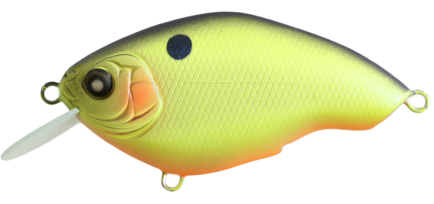 NISHINE - CHIPPAWA ROUND BILL - SLOW FLOAT