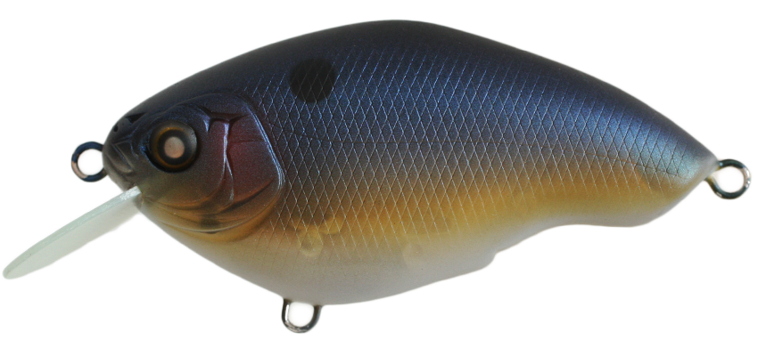 NISHINE - CHIPPAWA ROUND BILL - SLOW FLOAT